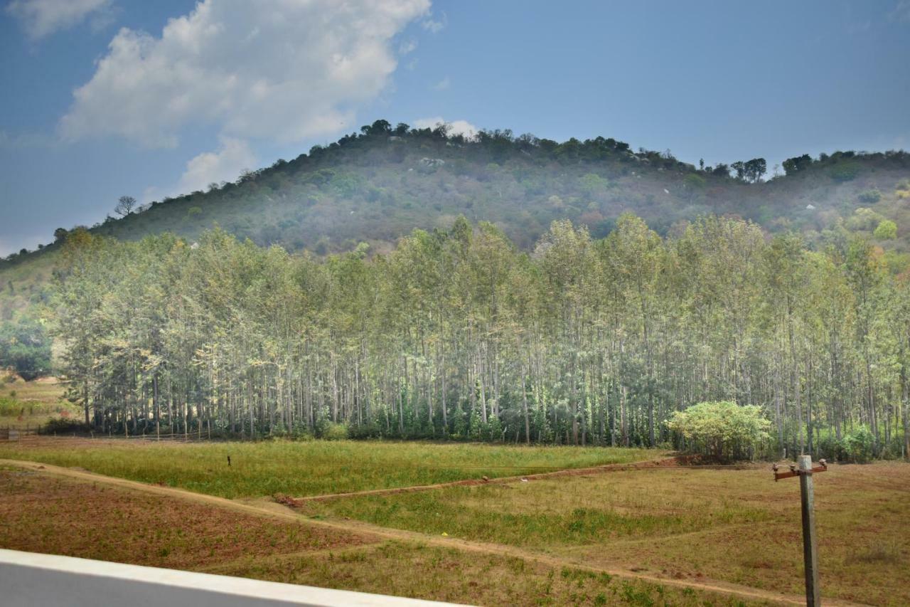 Hotel Kozee Kaves Yelagiri Esterno foto