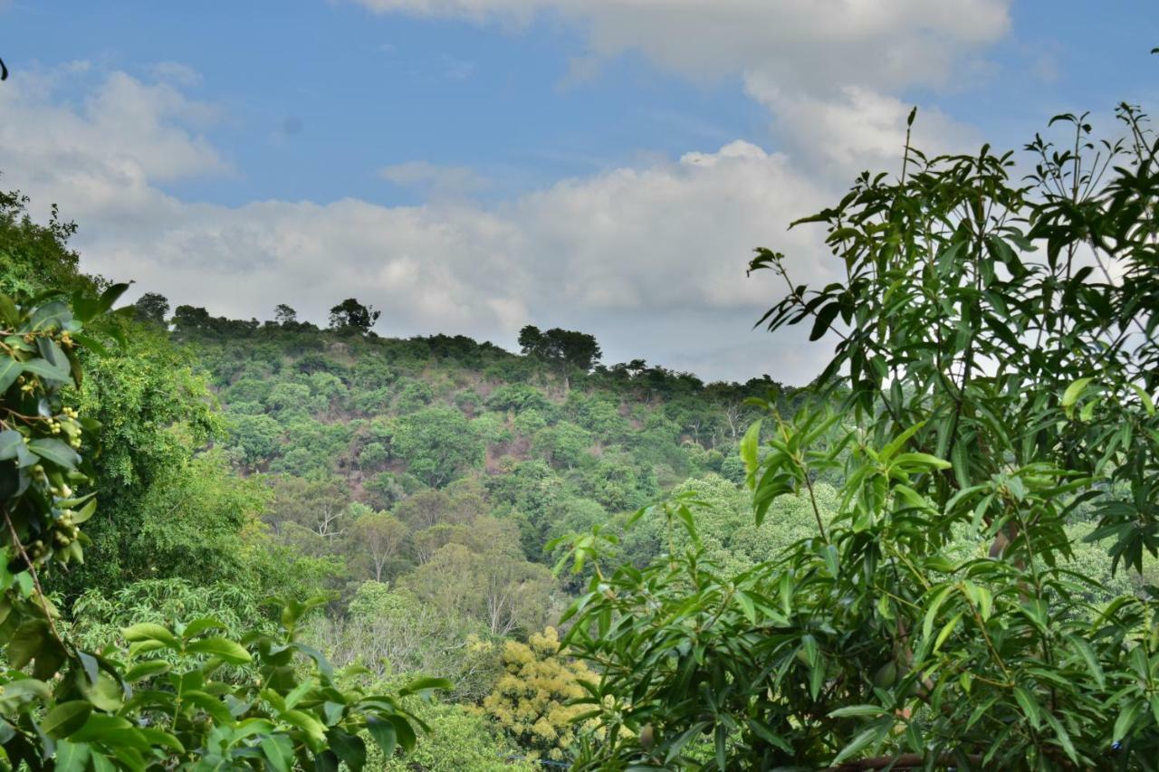 Hotel Kozee Kaves Yelagiri Esterno foto