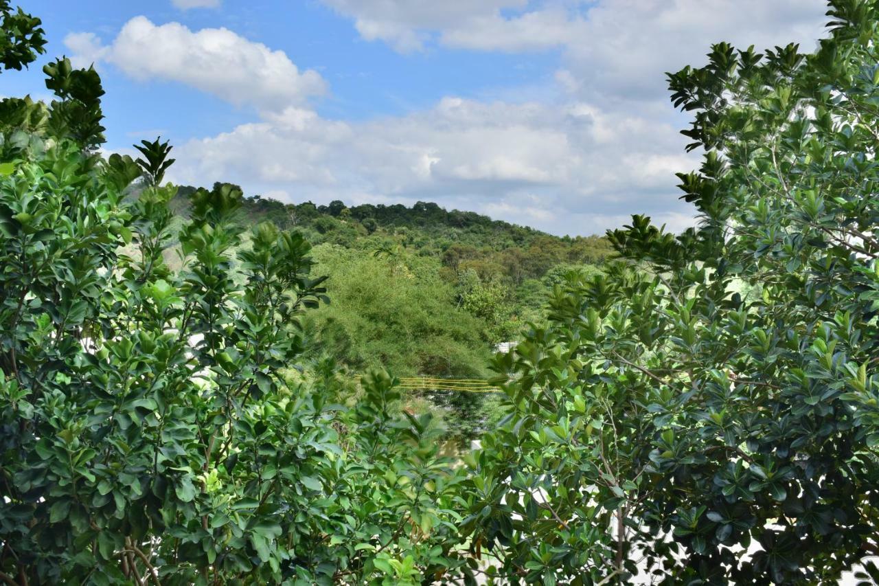 Hotel Kozee Kaves Yelagiri Esterno foto