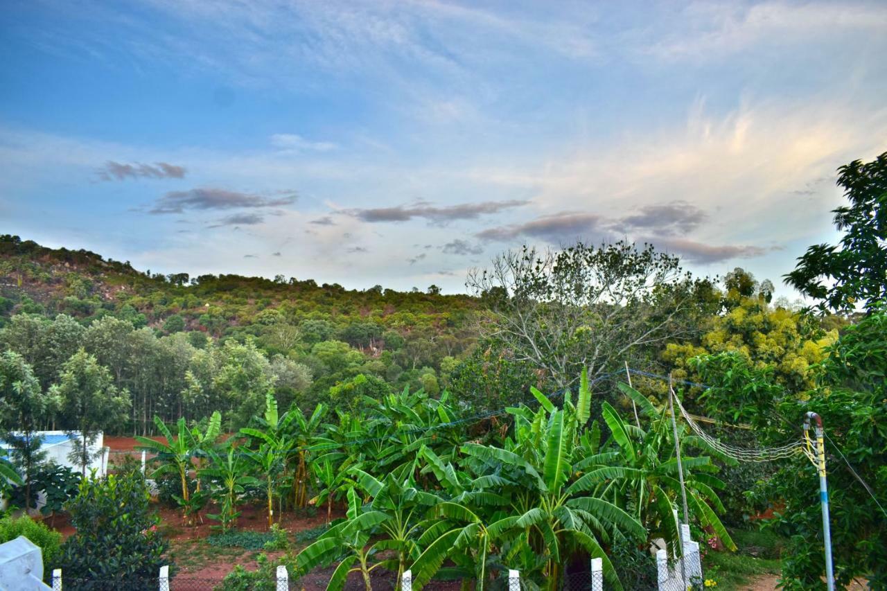 Hotel Kozee Kaves Yelagiri Esterno foto