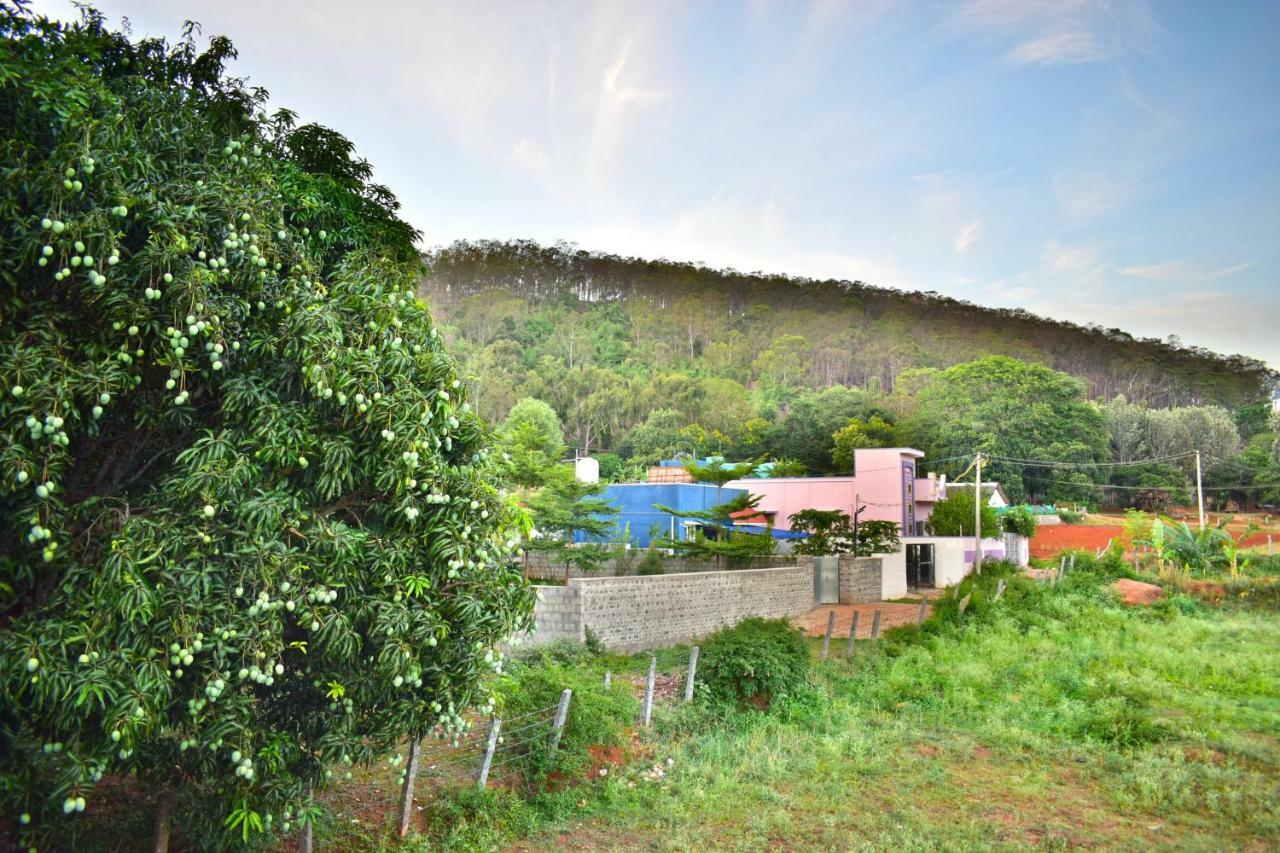 Hotel Kozee Kaves Yelagiri Esterno foto